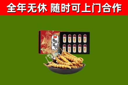 信丰回收冬虫夏草价格