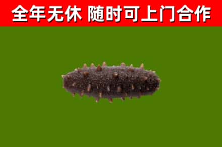 信丰烟酒回收干海参.jpg
